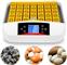Avtomatski inkubator za 56 jajca od sekakvi ptici