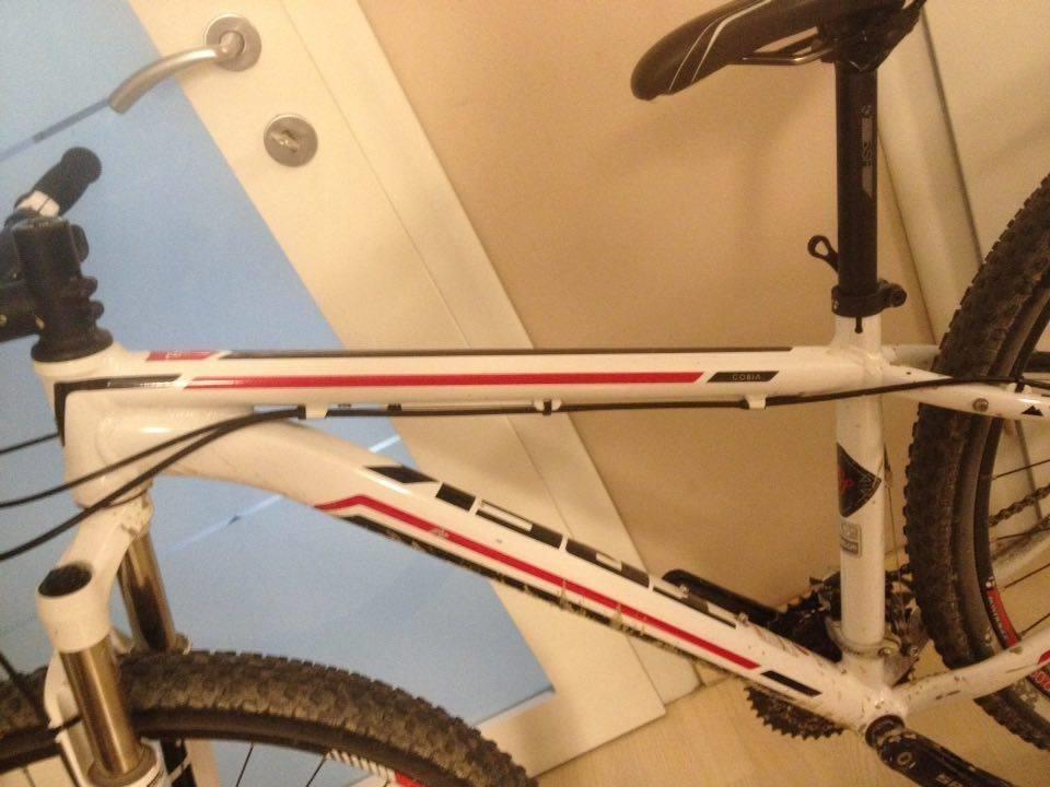Trek new arrivals cobia 29