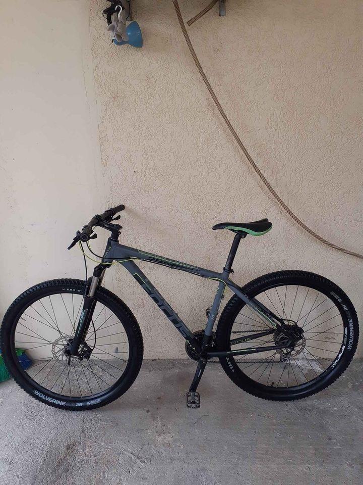 Focus black forest 29r 5.0 online