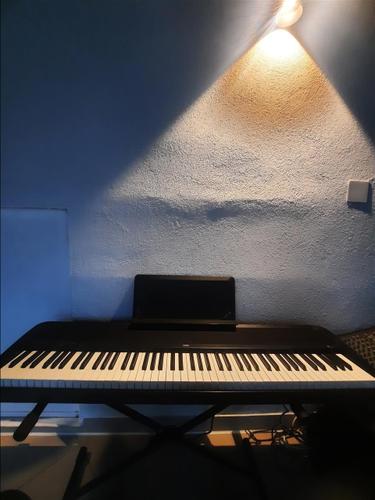 KORG B1