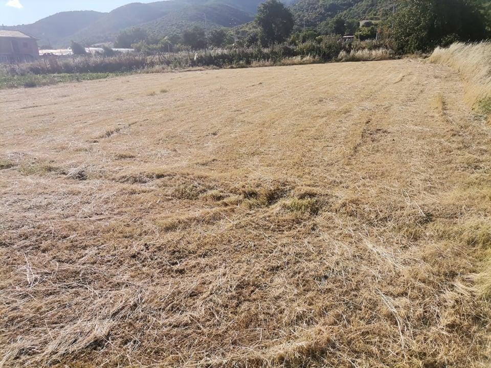 Plac-vo-selo-Nikolic