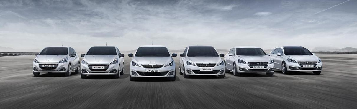 PEUGEOT-1007-106-107-108-2008-205-206-206+-207-208