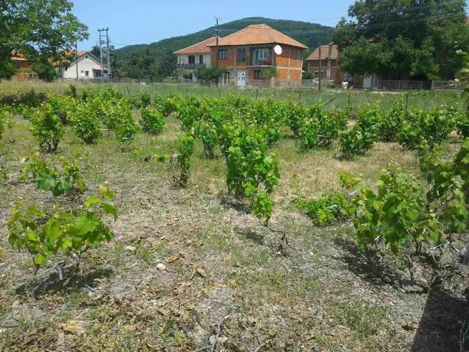 Plac 408m2 vo Leskoec