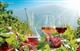 Од Винарија " Паруни " купи 10% Акции од бизнисот со вино