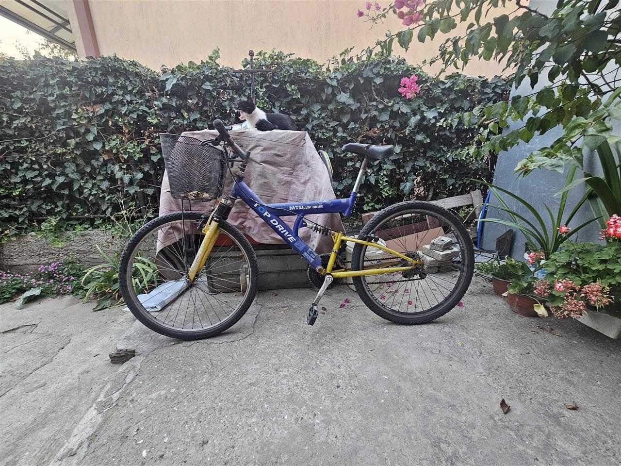 Concord pro clearance fever mountain bike