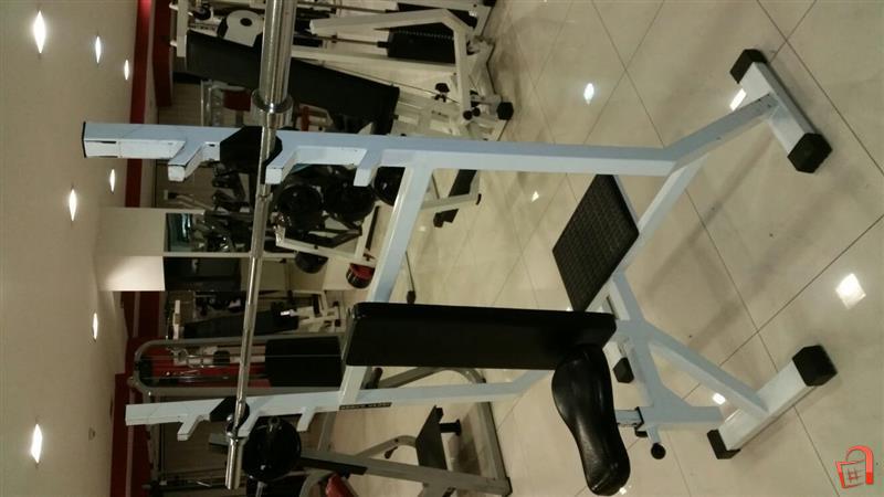 Cats, Dogs and three days of cardio bodybulding forum
