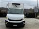 IVECO DAILY 35S15 FRIGO 2.3 DIESEL 16 AUTOPLAC ZAZO