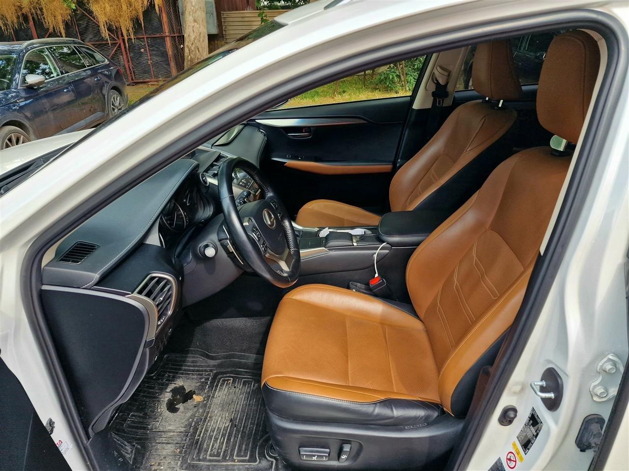 Lexus-NX300H-Luxury-2018-197ks