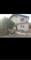 Се продава куќа во Бутел