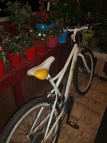 Velosiped Max 