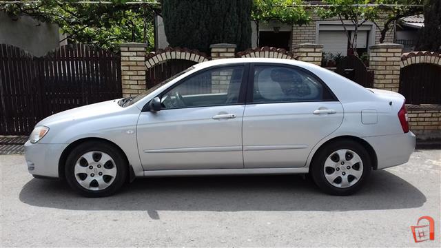 Cerato Cerato