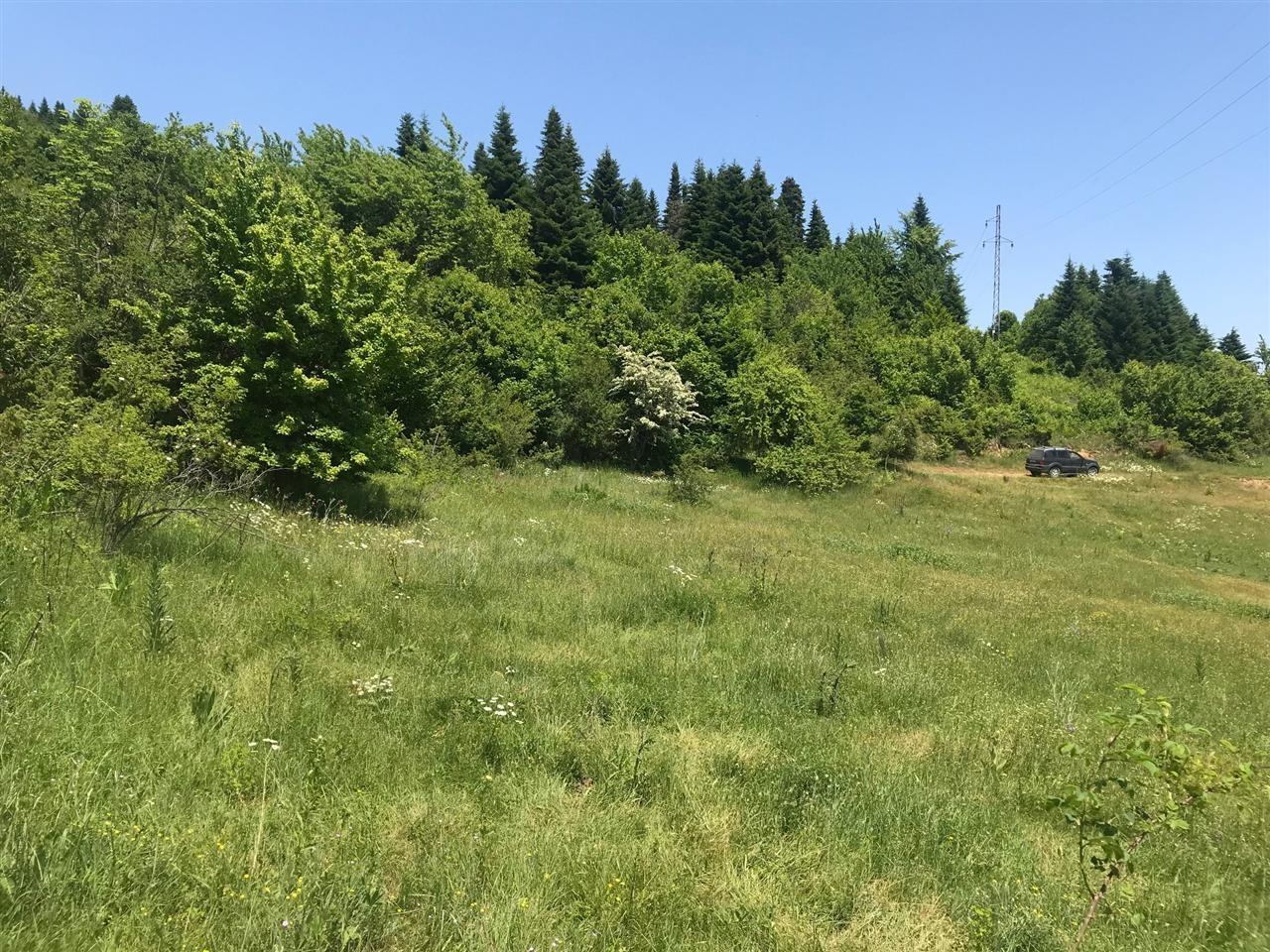 Mavrovo-4-placa-pokraj-ezero-po-250m2