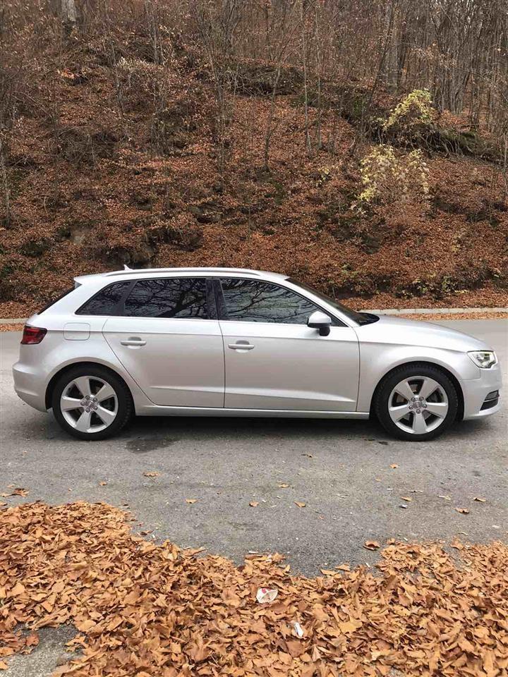 Audi-A3-2-0-TDI-quattro-avtomatiik--matrix