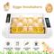 Avtomatski inkubator za 24 jajca digitalen