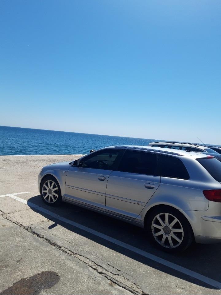 Audi-A3-2-0-Sline-2007-140ps-8-Ventili