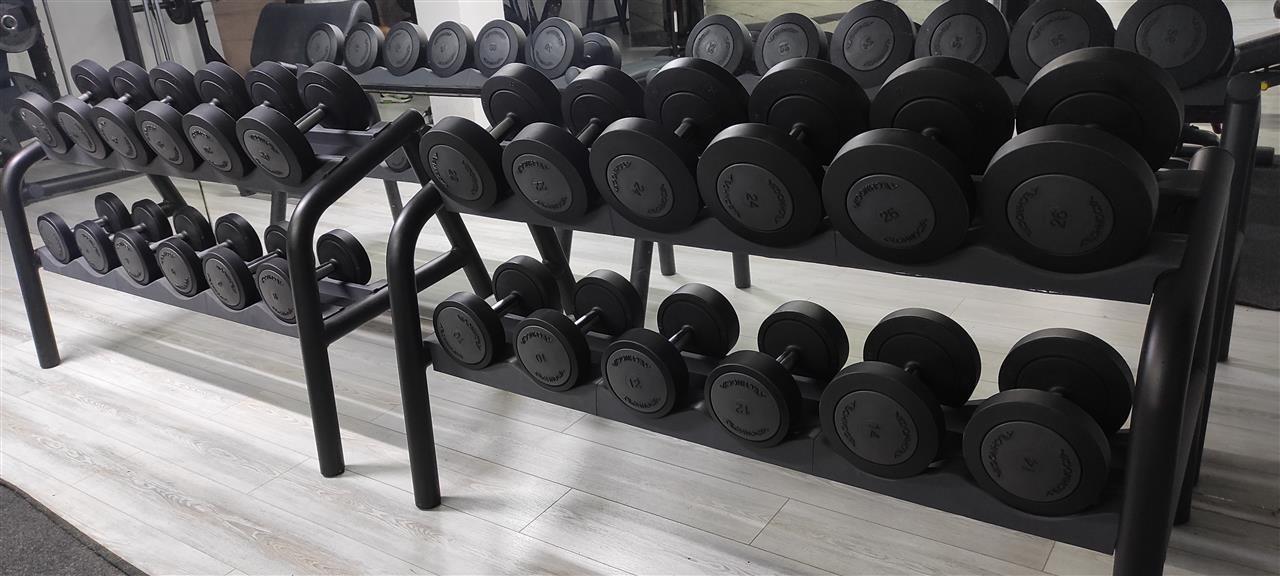 Technogym urethane dumbbells sales