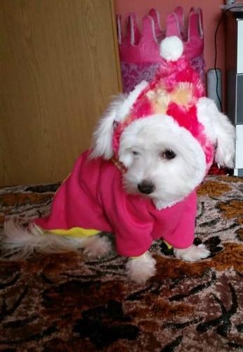 Maltezer
