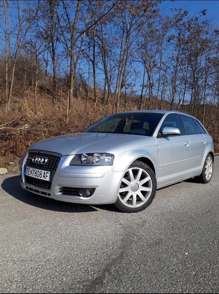 Audi-A3-2-0-Sline-2007-140ps-8-Ventili