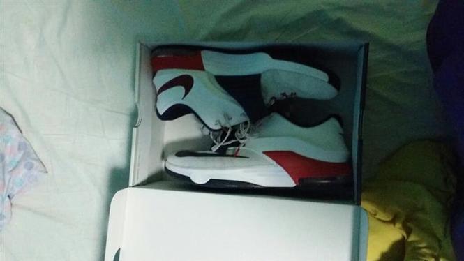 PATIKI 7 USA 45.5 BROJ