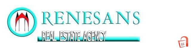 Agencija za Nedviznosti Renesans