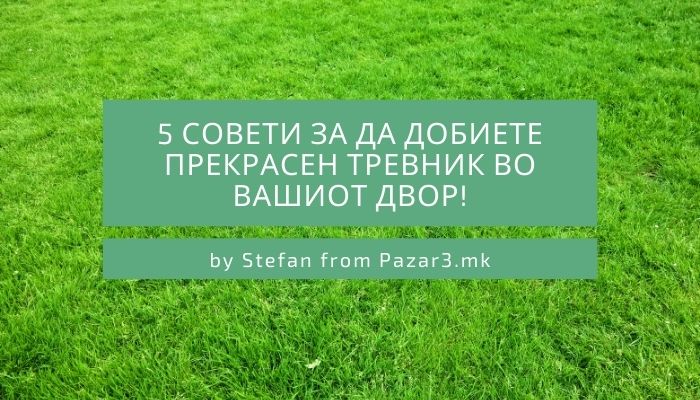 how to make a perfect green lawn in your yard