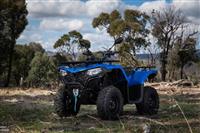 CF moto 4WD 4x4 450cc Quad ATV