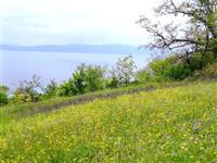 Plac 800m2 so prekrasna pozicija i pogled na Ohridsko Ezero