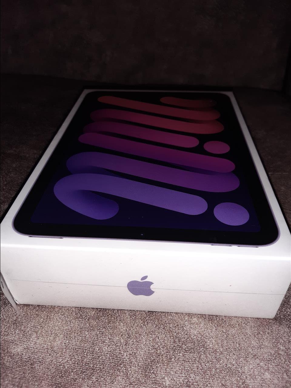 iPad-Mini